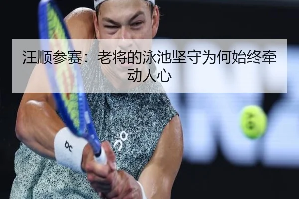 汪顺参赛：老将的泳池坚守为何始终牵动人心