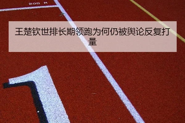 王楚钦世排长期领跑为何仍被舆论反复打量 - leyu